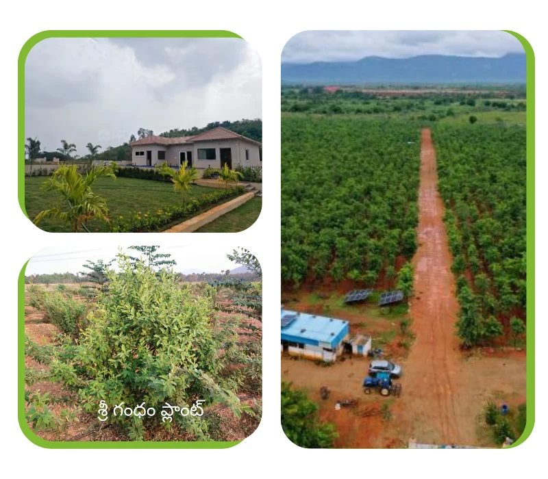 open-plots-vizag-farmland-ventures open-plots-vizag-farmland-ventures